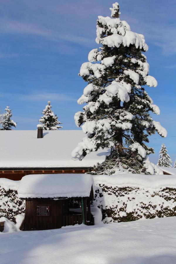 Chalet Le Slalom Arveyes Extérieur photo